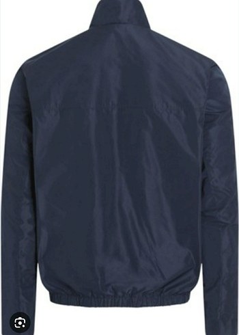 Ck model ceket - Görsel 3