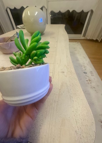 Pastel Yeşil Dekoratif Sukulent Saksı - Görsel 2