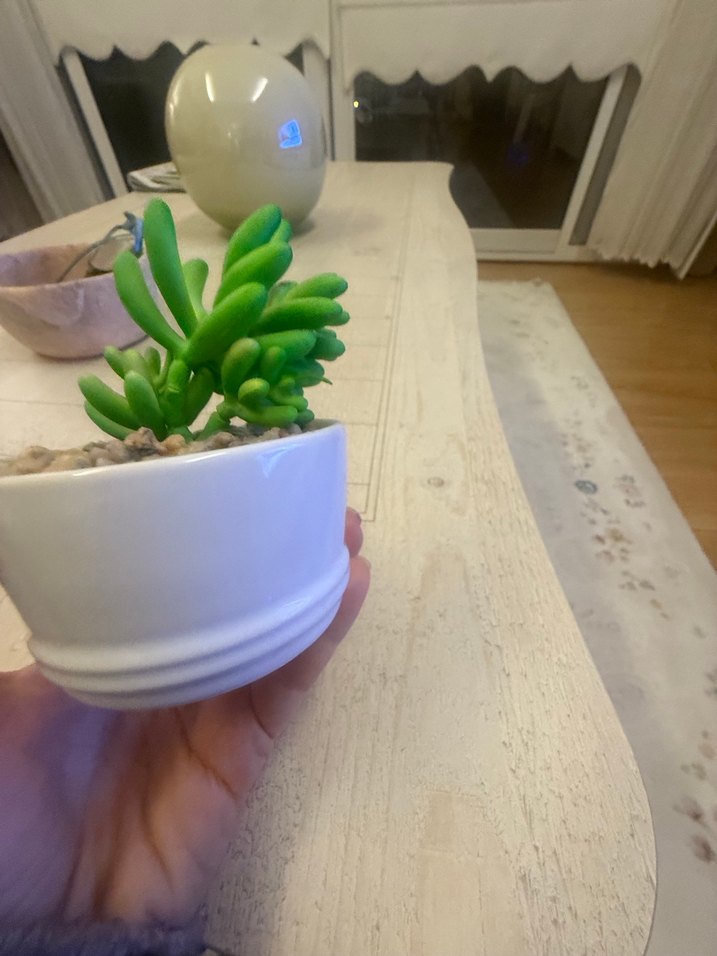 Pastel Yeşil Dekoratif Sukulent Saksı - Görsel 2