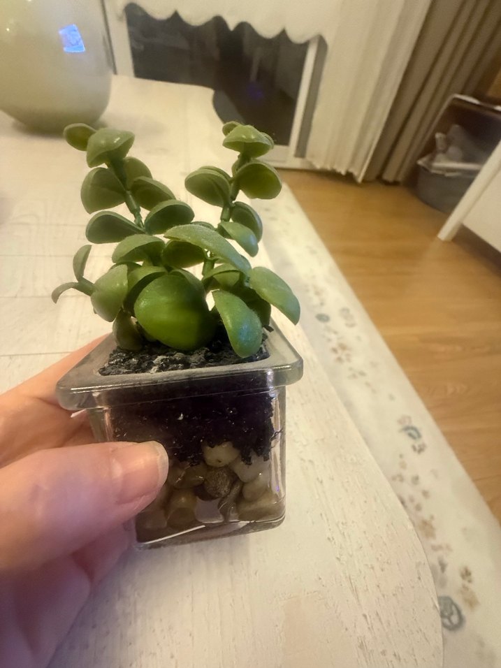 Pastel Yeşil Saksıda Dekoratif Bitki - Görsel 2