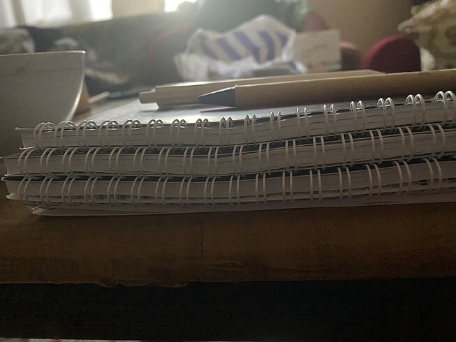 4 defter 2 tükenmez kalem 300 tl