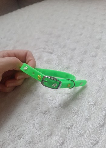 Kedi Kopek Kıyafeti ve Tasmasi - Görsel 4