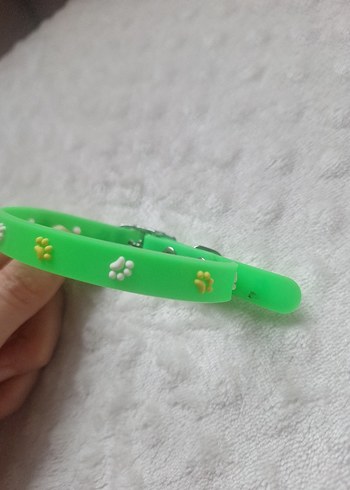 Kedi Kopek Kıyafeti ve Tasmasi - Görsel 3