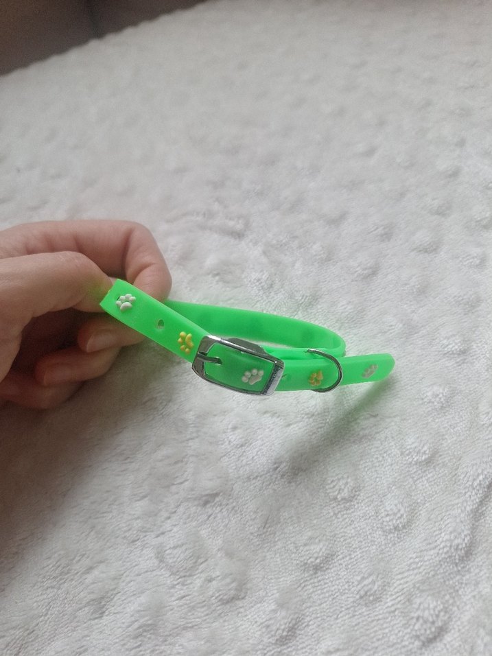 Kedi Kopek Kıyafeti ve Tasmasi - Görsel 4