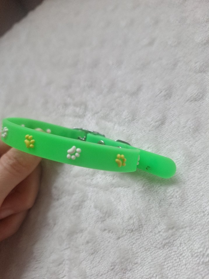 Kedi Kopek Kıyafeti ve Tasmasi - Görsel 3