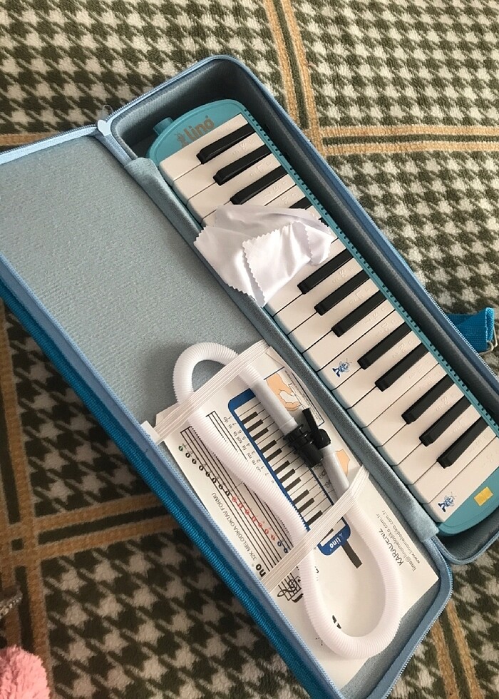 Melodika - Görsel 2