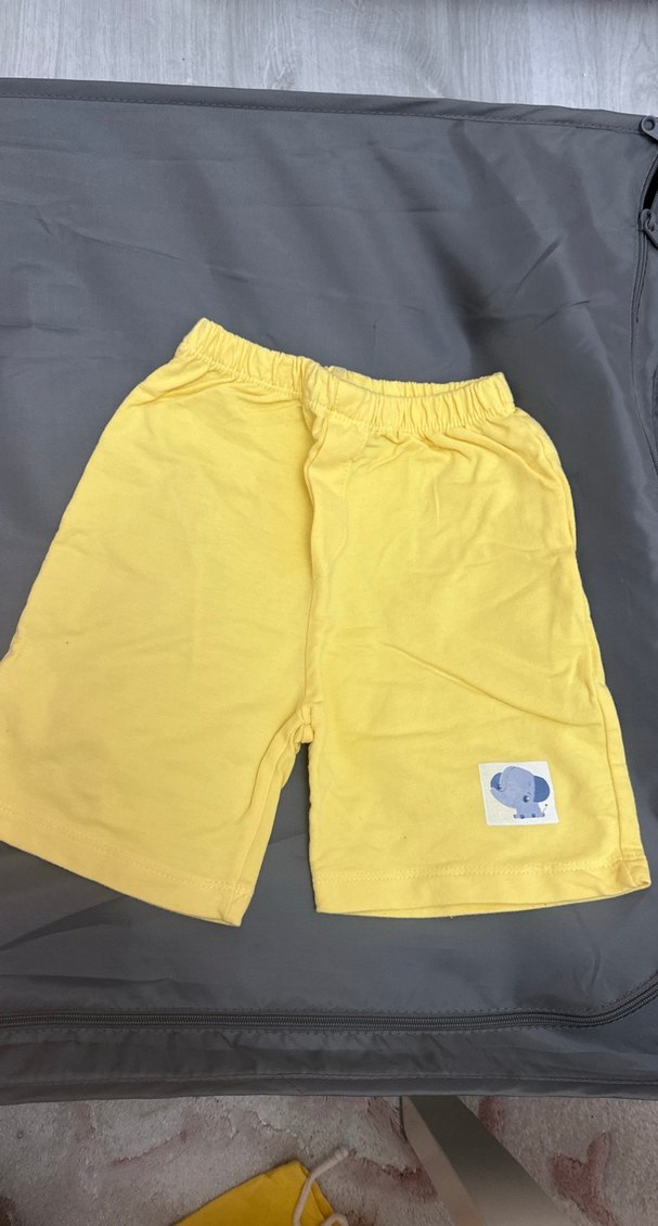 Fisher Price Erkek Bebek Kısa Kollu Takım - Görsel 4