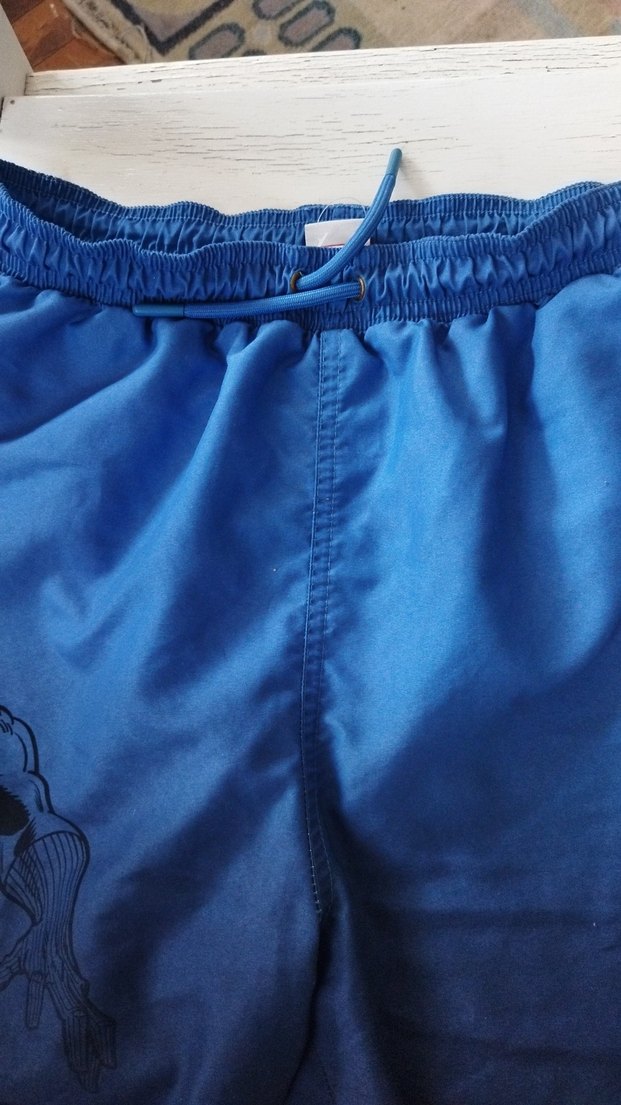 Mavi Baskılı Siyah Panter Erkek Şortu - Görsel 4