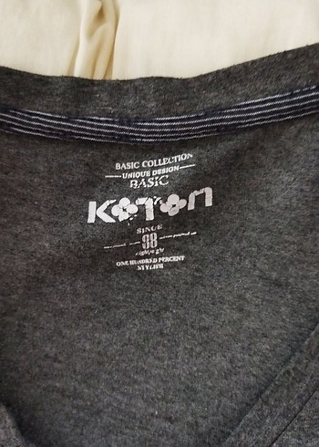 Gri V Yakalı erkek tişört - Görsel 3