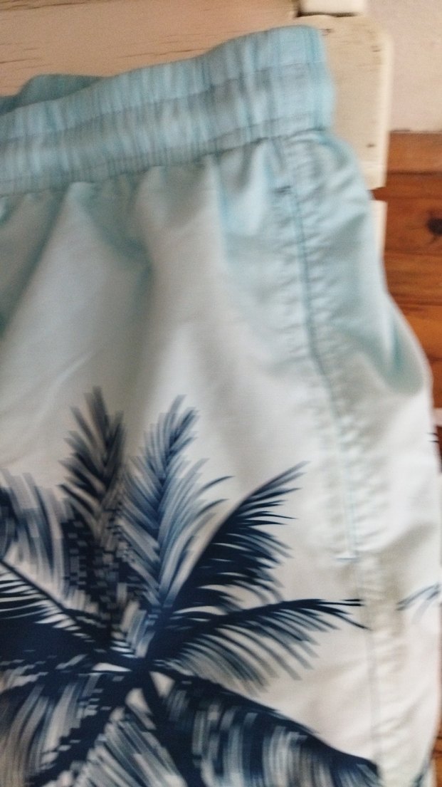 Mavi Palmiye Desenli Erkek Mini Şort - Görsel 3