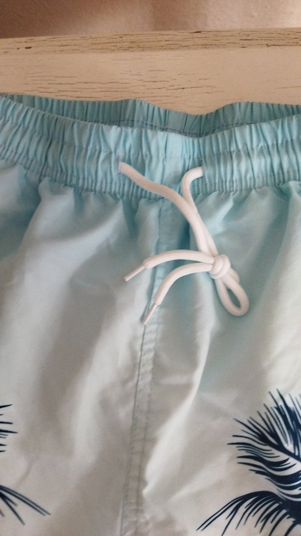 Mavi Palmiye Desenli Erkek Mini Şort - Görsel 4