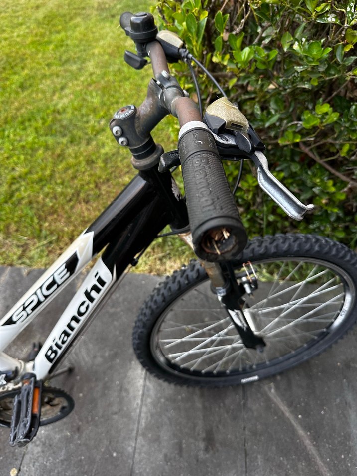 Bianchi Beyaz Gri Bisiklet - Görsel 3