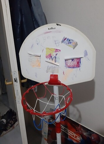 Basket potası