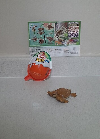 Kinder Joy Natoons Kaplumbağa 