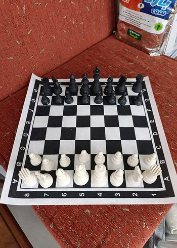 Satranç Takımı yuvarlak taşıma kabı ile