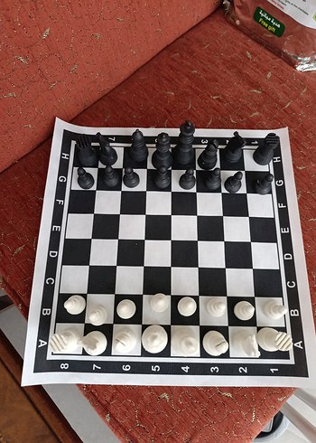 Satranç Takımı yuvarlak taşıma kabı ile - Görsel 2