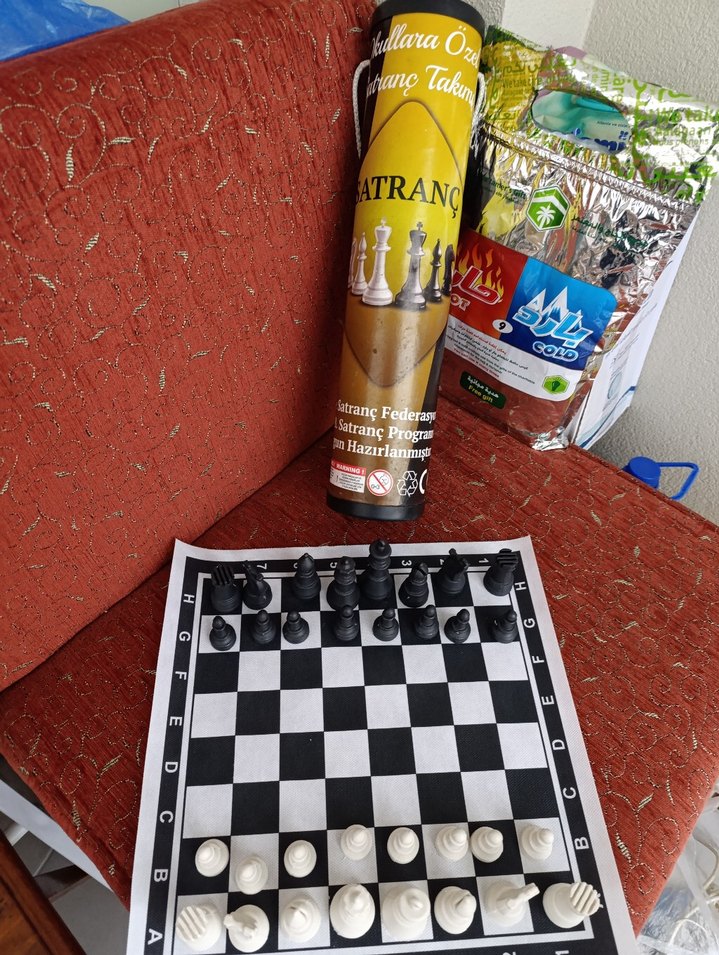 Satranç Takımı yuvarlak taşıma kabı ile - Görsel 3