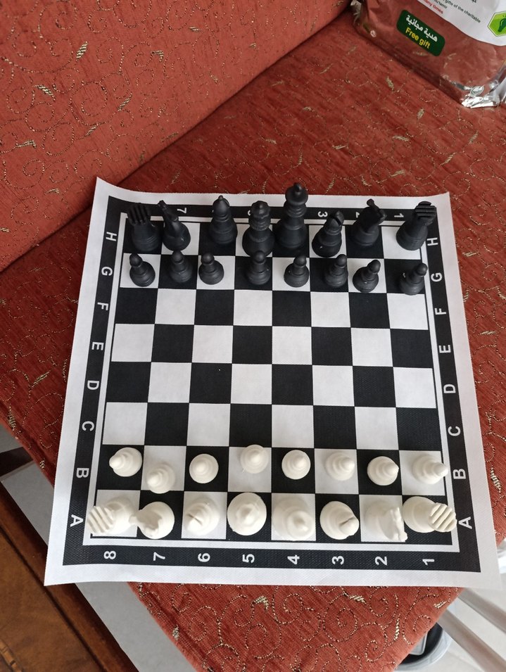 Satranç Takımı yuvarlak taşıma kabı ile - Görsel 2