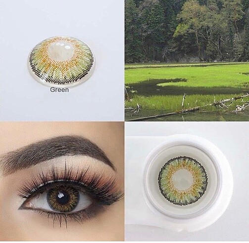 Freshlook