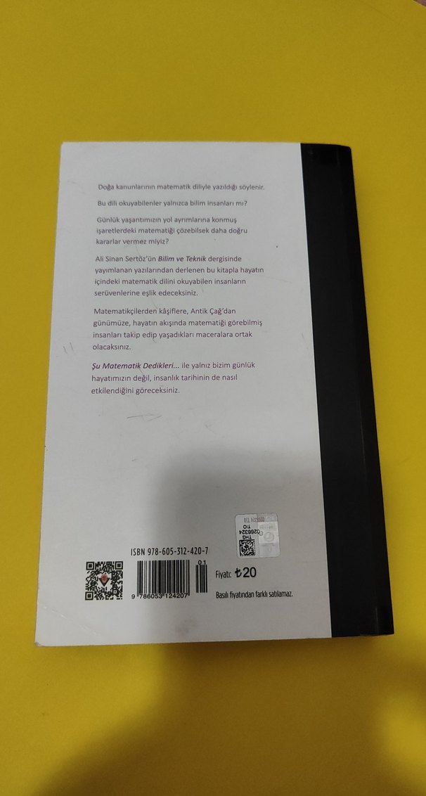 Şu Matematik Dedikleri - Ali Sinan Sertöz - Görsel 3