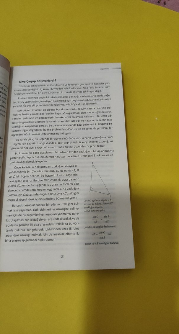 Şu Matematik Dedikleri - Ali Sinan Sertöz - Görsel 2