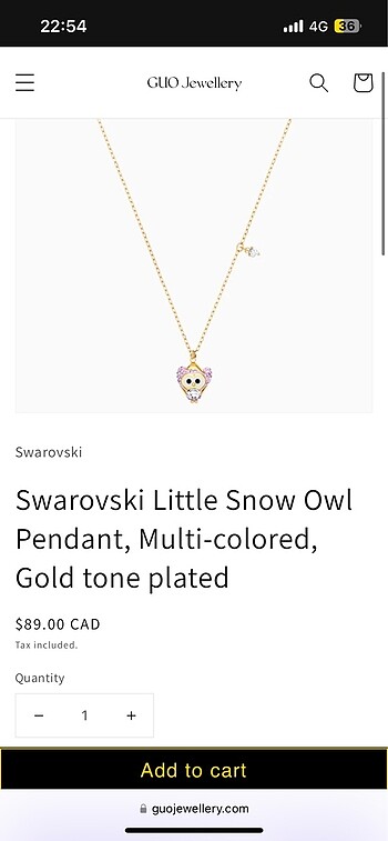  Beden swarovski kolye