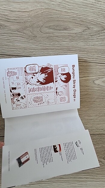 Bungou stray dogs 1
