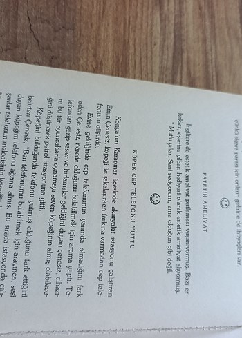 Ateşle Yaklaşma Geveze - Görsel 3