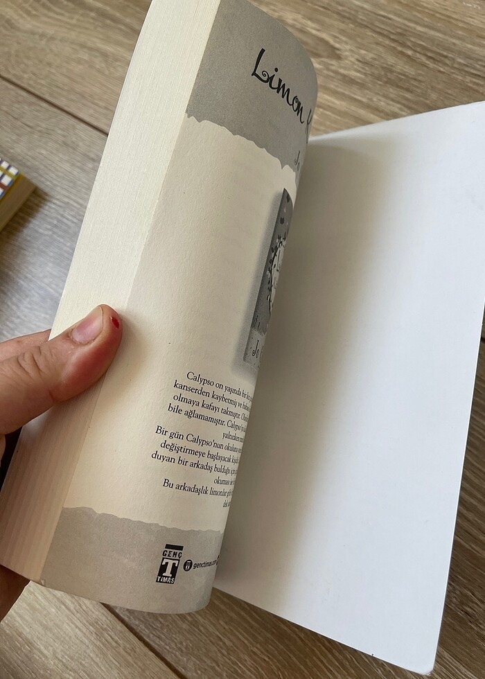 Emilia Ağaçta - Görsel 4