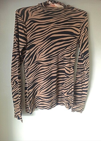 Zebra Desen Bady