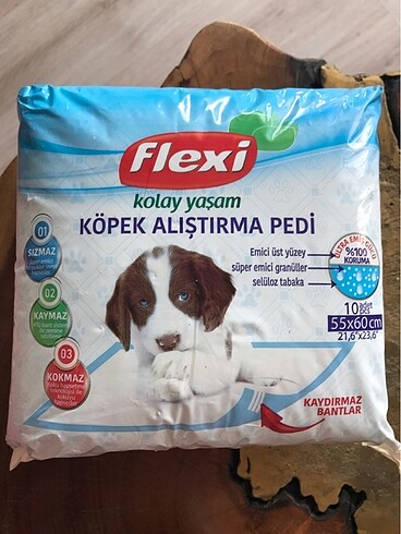 Köpek alıştırma pedi