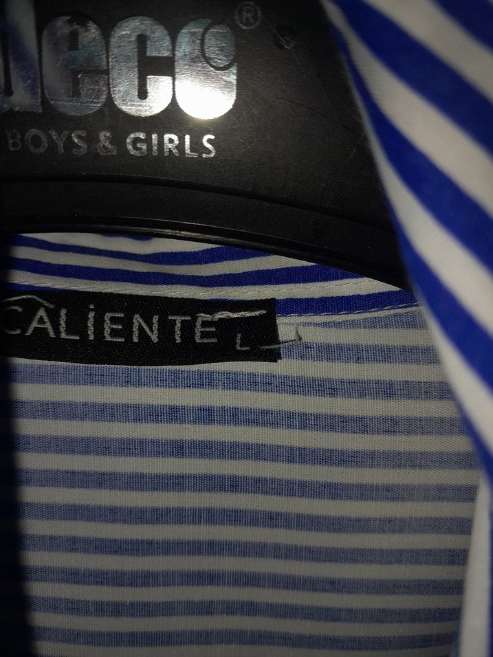 Mavi Çizgili Kadın Uzun Kollu Gömlek - Görsel 4