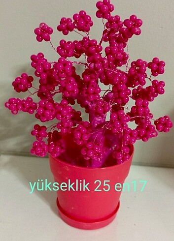  Çiçek 