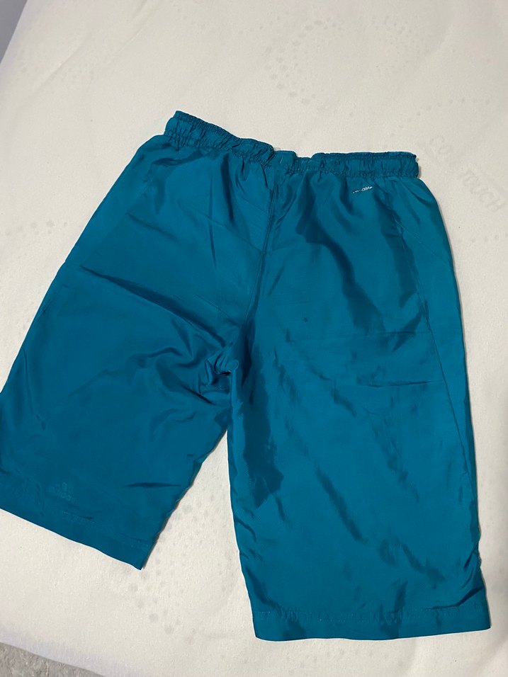 Erkek Parlak Mavi Şort - Görsel 2