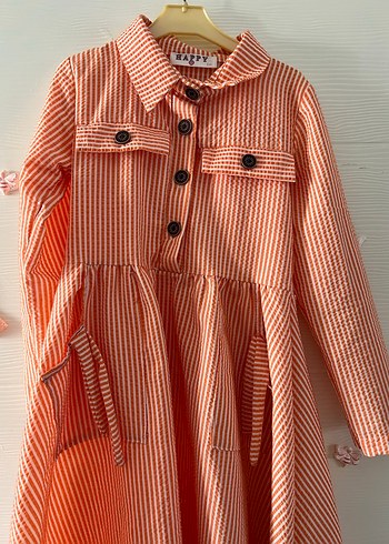 Turuncu Çizgili - Görsel 2