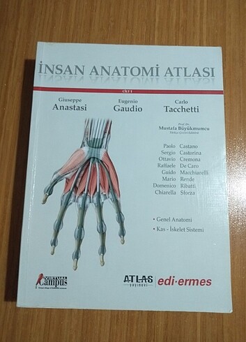  Beden Renk iNSAN ANATOMİSİ ATLASI