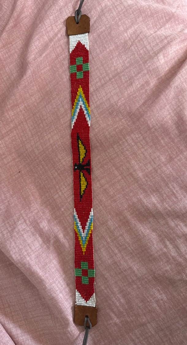 Nakışlı Boncuklu Köpek Taşması - Görsel 2