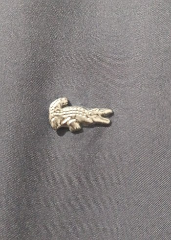 Gri lacivert Erkek Fermuarlı Rahat Mont çift taraflı - Görsel 4