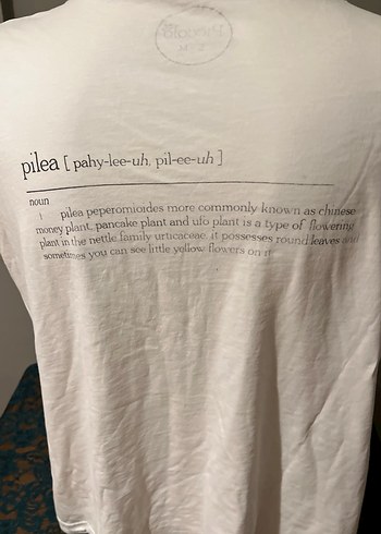 Beyaz Erkek  Kısa Kollu Baskılı Tişört - Görsel 3