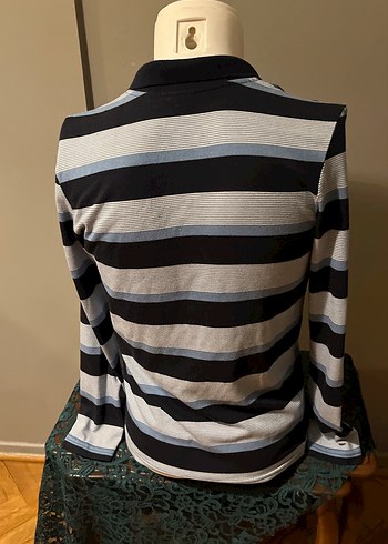 Collezıone / Uzun Kollu Gri Çizgili Erkek Polo Tişört - Görsel 4