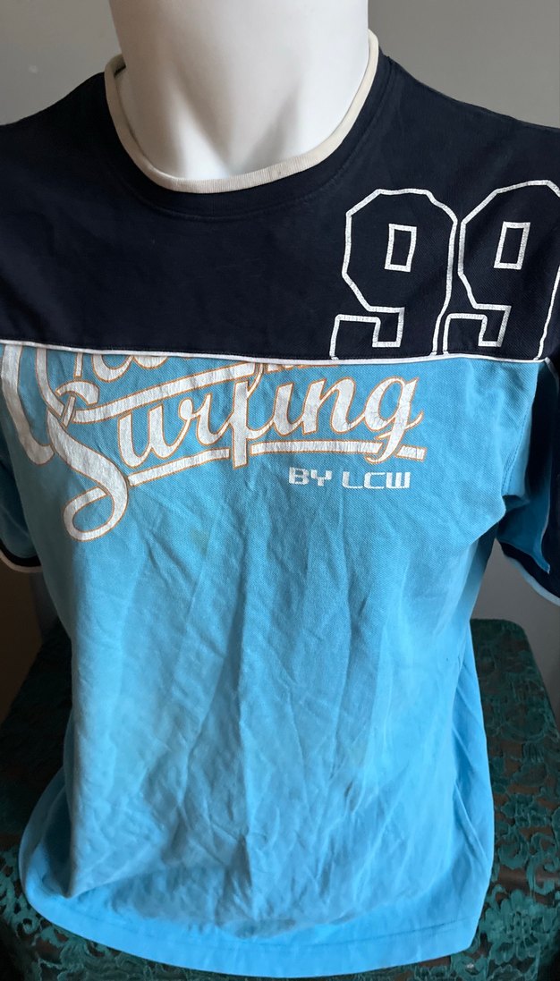 Mavi Baskılı Erkek Tişörtü, Kısa Kollu, Bol Kesim - Görsel 2