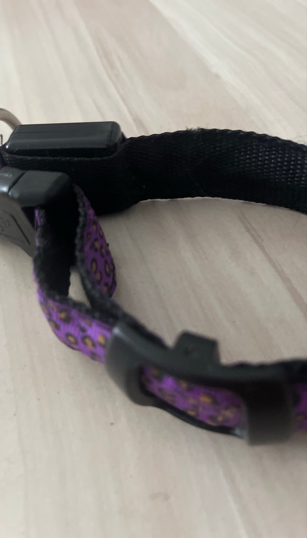 Mor Leopar Desenli Kedi Tasması - Görsel 2