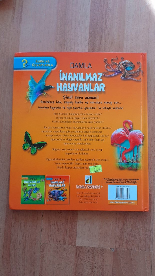 Damla İnanılmaz Hayvanlar Çocuk Kitabı - Görsel 2