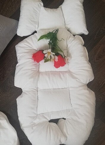 Diğer Puseti örtüsü