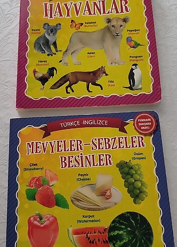 Eğitici sert kapak kitap