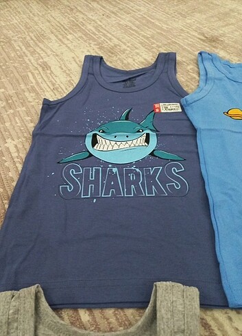 Ören yıldız 6,7 yaş 100de 96 pamuklu - Görsel 6