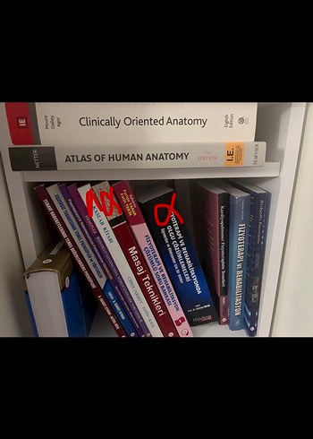 Fizyoterapi ve Kinezyoloji Kitapları - Görsel 2