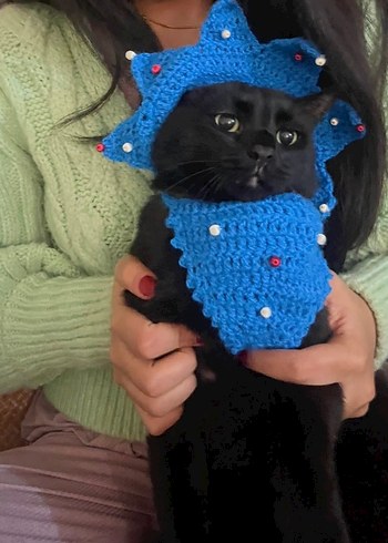 Mavi kedi Aksesuarı - El Örgüsü Şapka - Görsel 4