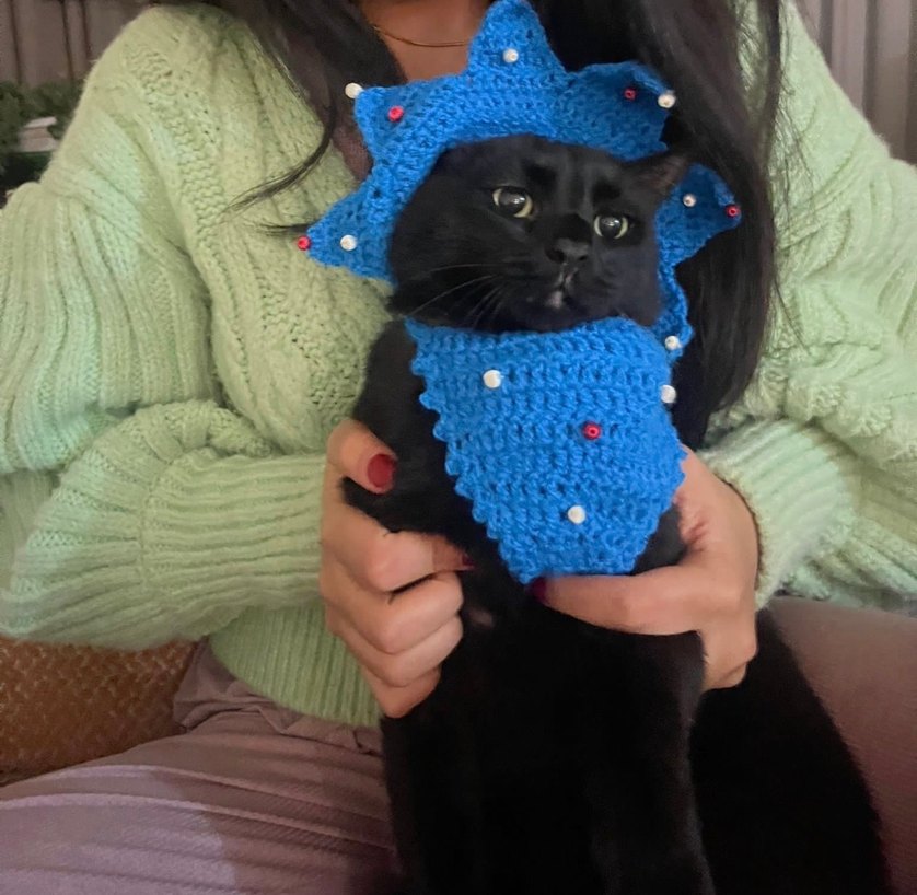 Mavi kedi Aksesuarı - El Örgüsü Şapka - Görsel 4