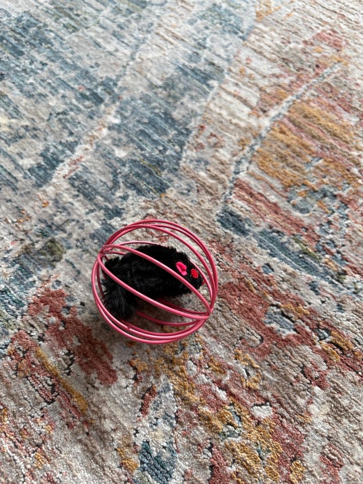 Kedi Oyuncağı Kafesli Top ve Tüylü Fare - Görsel 2